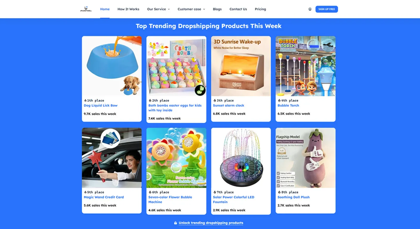 trending dropshipping products display