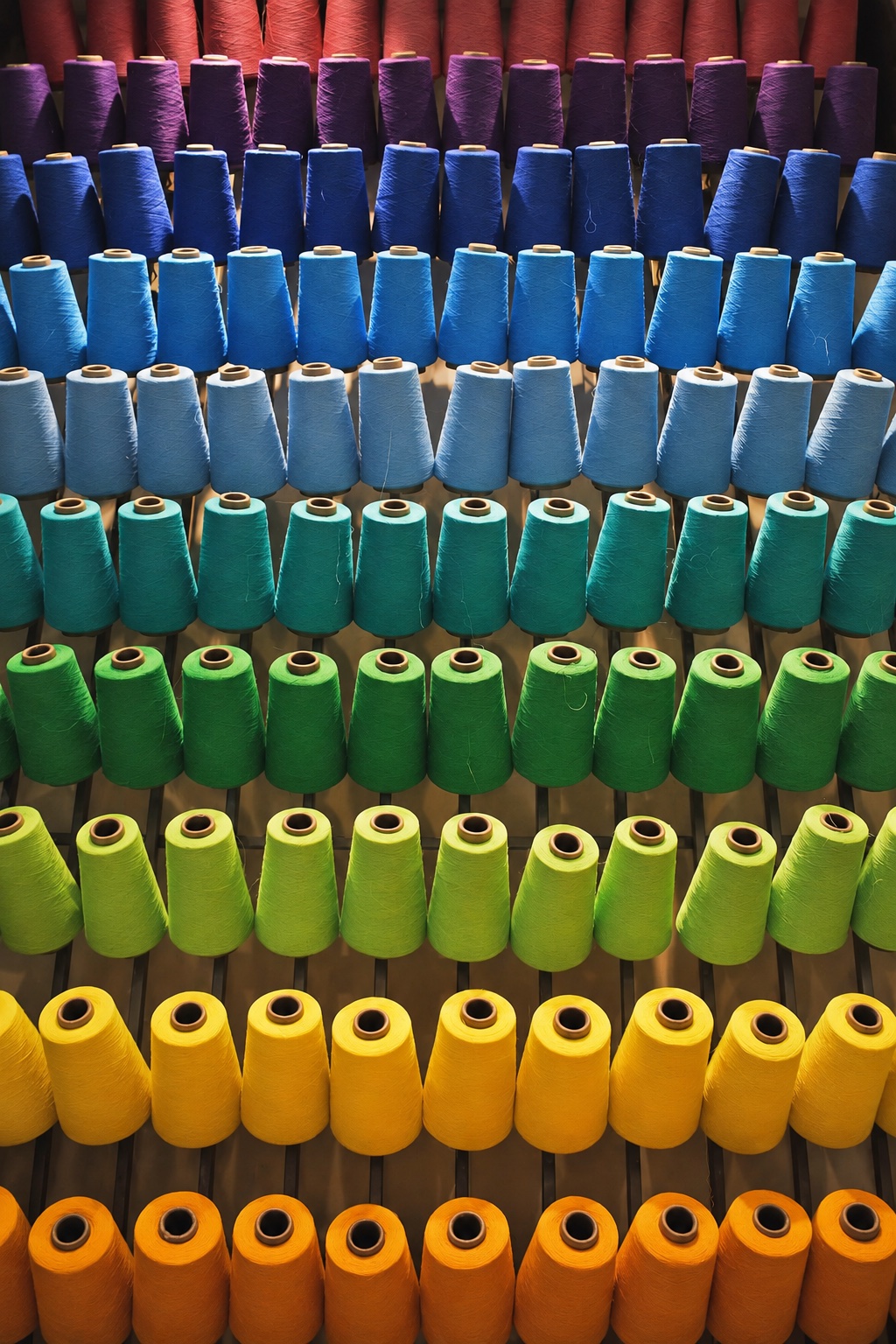 Rows of thread cones arranged by color with cardboard cores visible