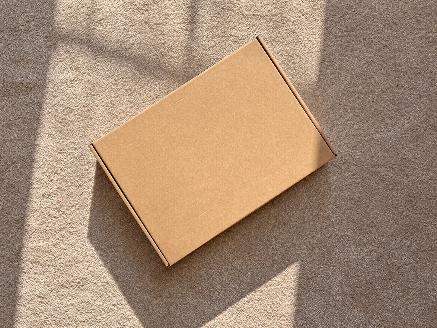 Closed rectangular kraft mailer showing the outer package whose dimensions and weight affect shipping quotes