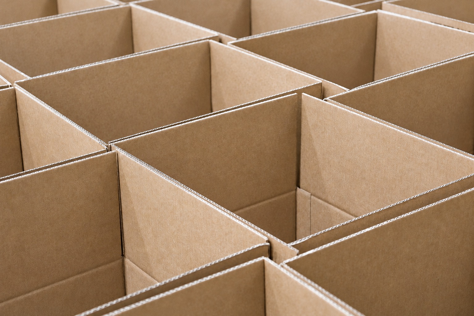 Rows of open empty corrugated cartons with visible walls and edges