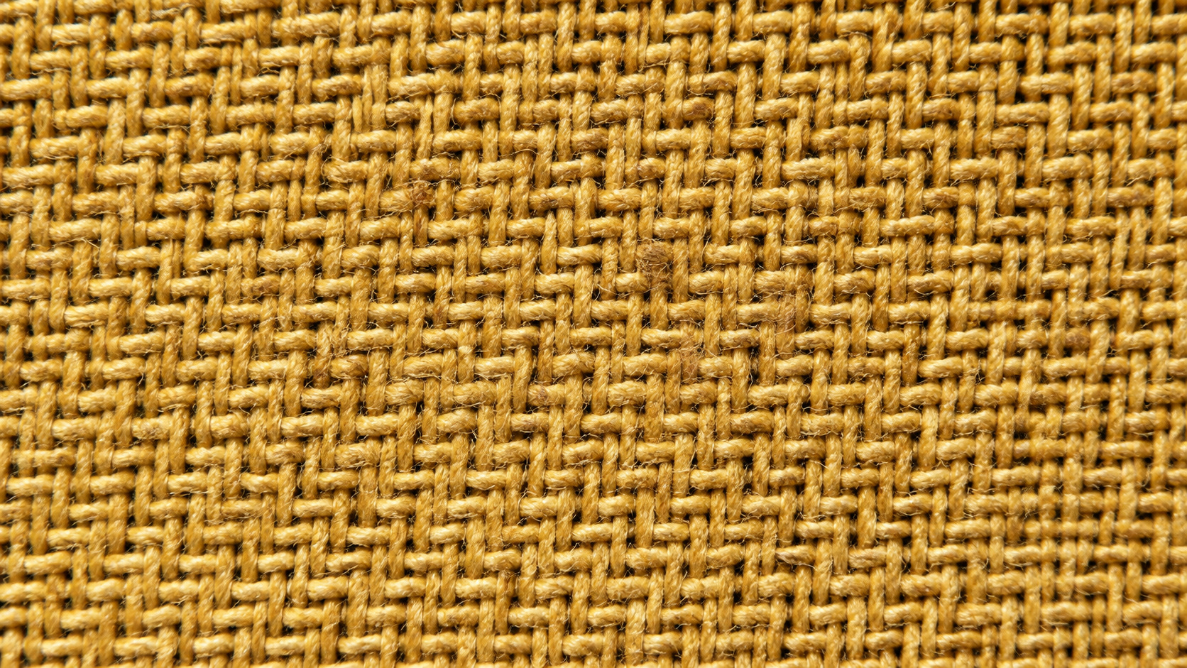 Ochre yarns crossing in a close view of woven fabric