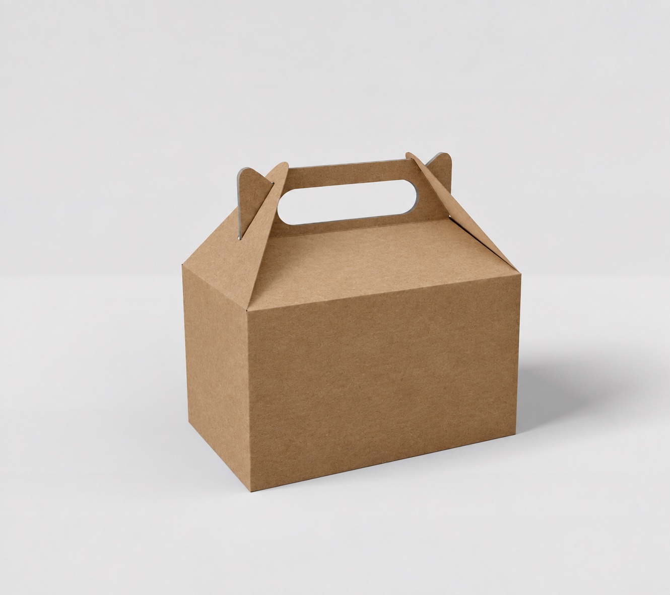 Plain kraft carry carton with front panel, sloping top folds and a handle opening